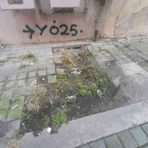 Φωτογραφία 2